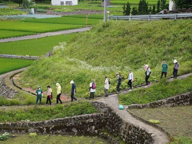 角川薬草散策